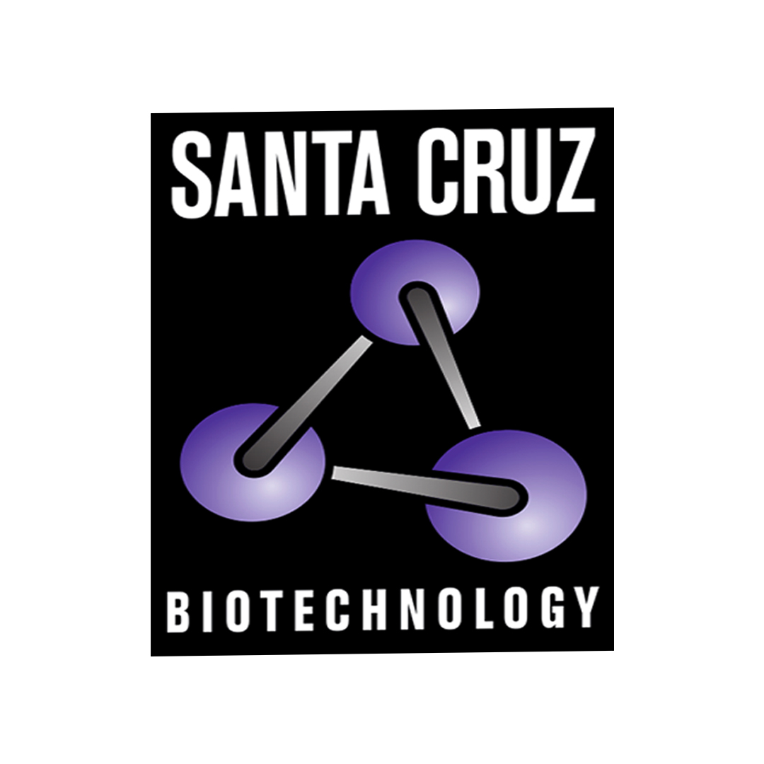 Santa Cruz